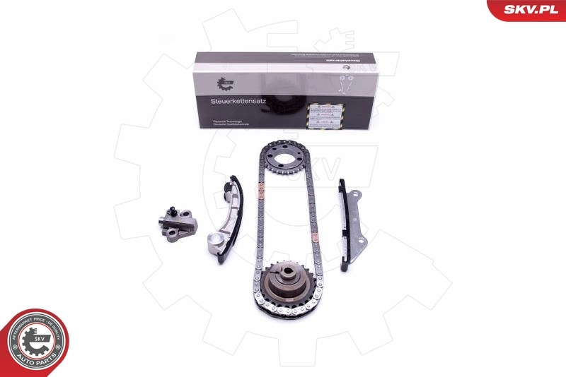 Timing Chain Kit